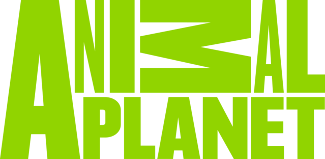 ANIMAL PLANET